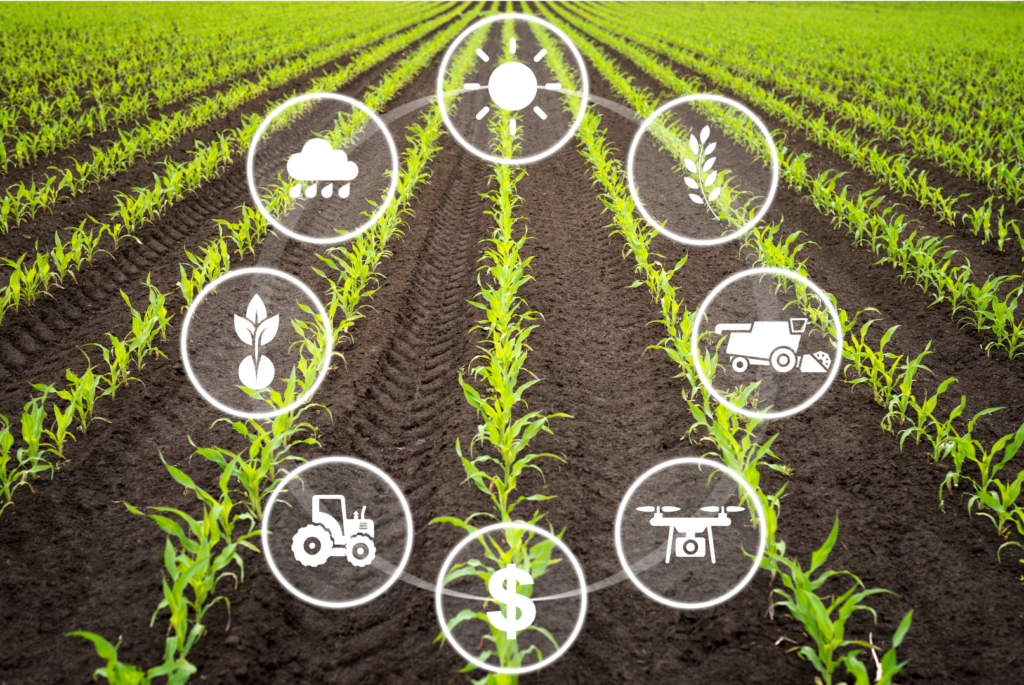 Image describing sustainability, wastewater recycling for farming and manufacturing, showcasing eco-friendly practices and resource efficiency