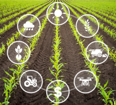 Image describing sustainability, wastewater recycling for farming and manufacturing, showcasing eco-friendly practices and resource efficiency