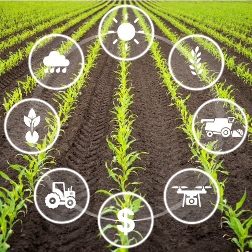 Image describing sustainability, wastewater recycling for farming and manufacturing, showcasing eco-friendly practices and resource efficiency